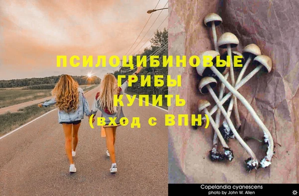дистиллят марихуана Заводоуковск
