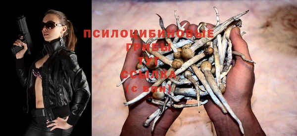 дурь Зерноград